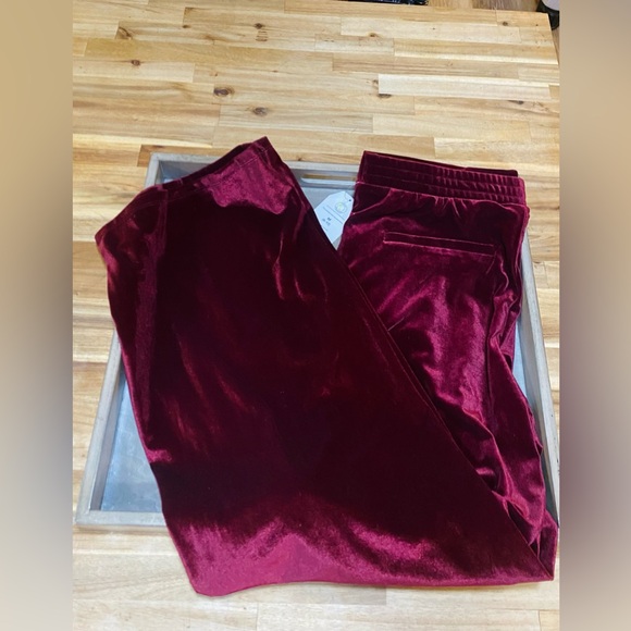 SOLD Wide Leg Velvet Burgundy Pants NWT size medium - Picture 4 of 6